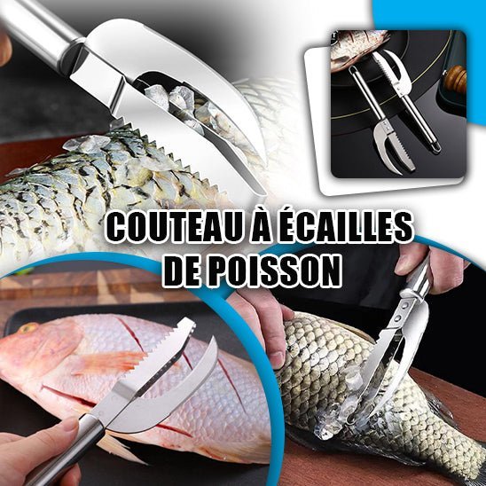 Couteau écailler pratique, idéal pour pêcheurs et amateurs de cuisine au poisson