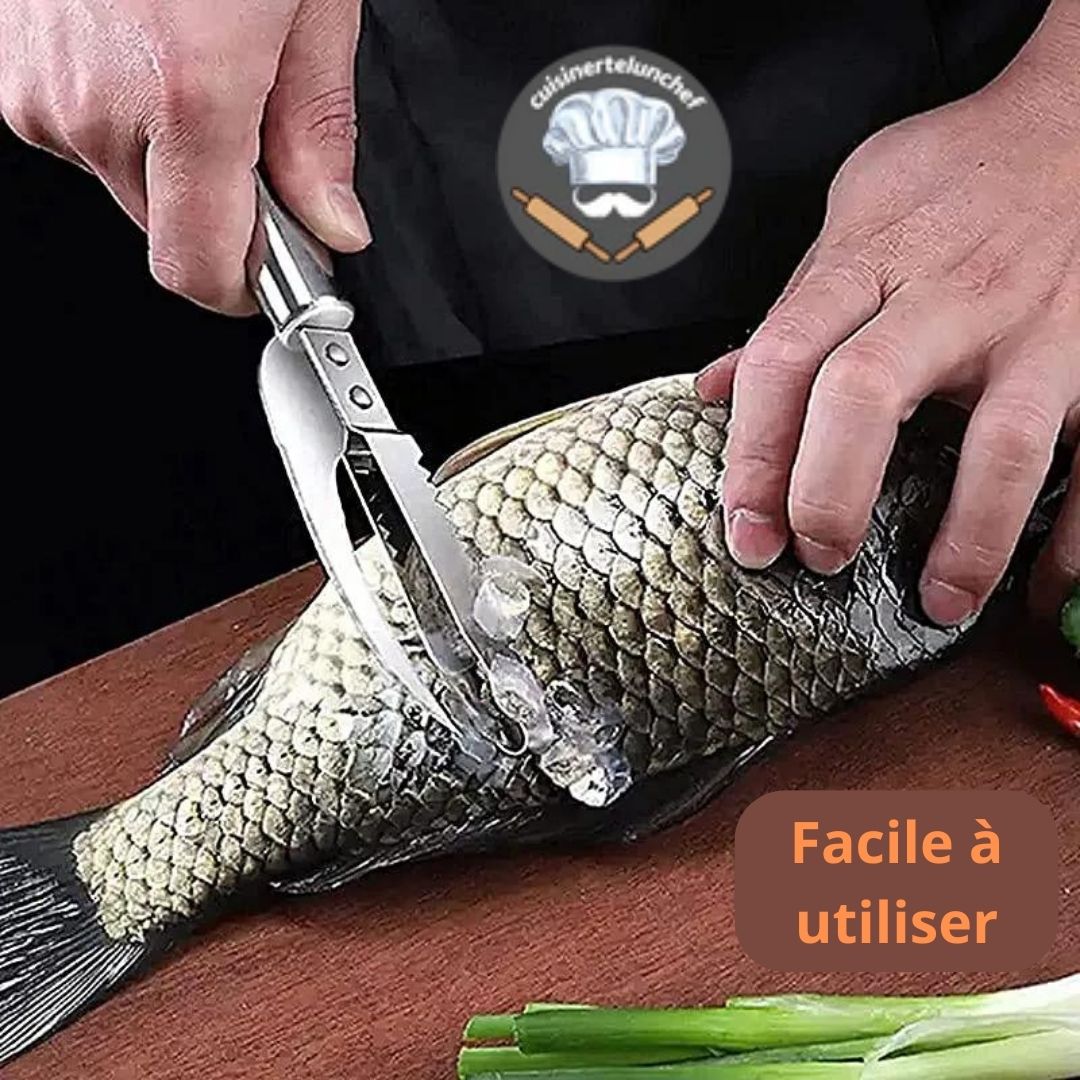 Couteau écailler professionnel, vider et préparer poissons entiers en quelques gestes